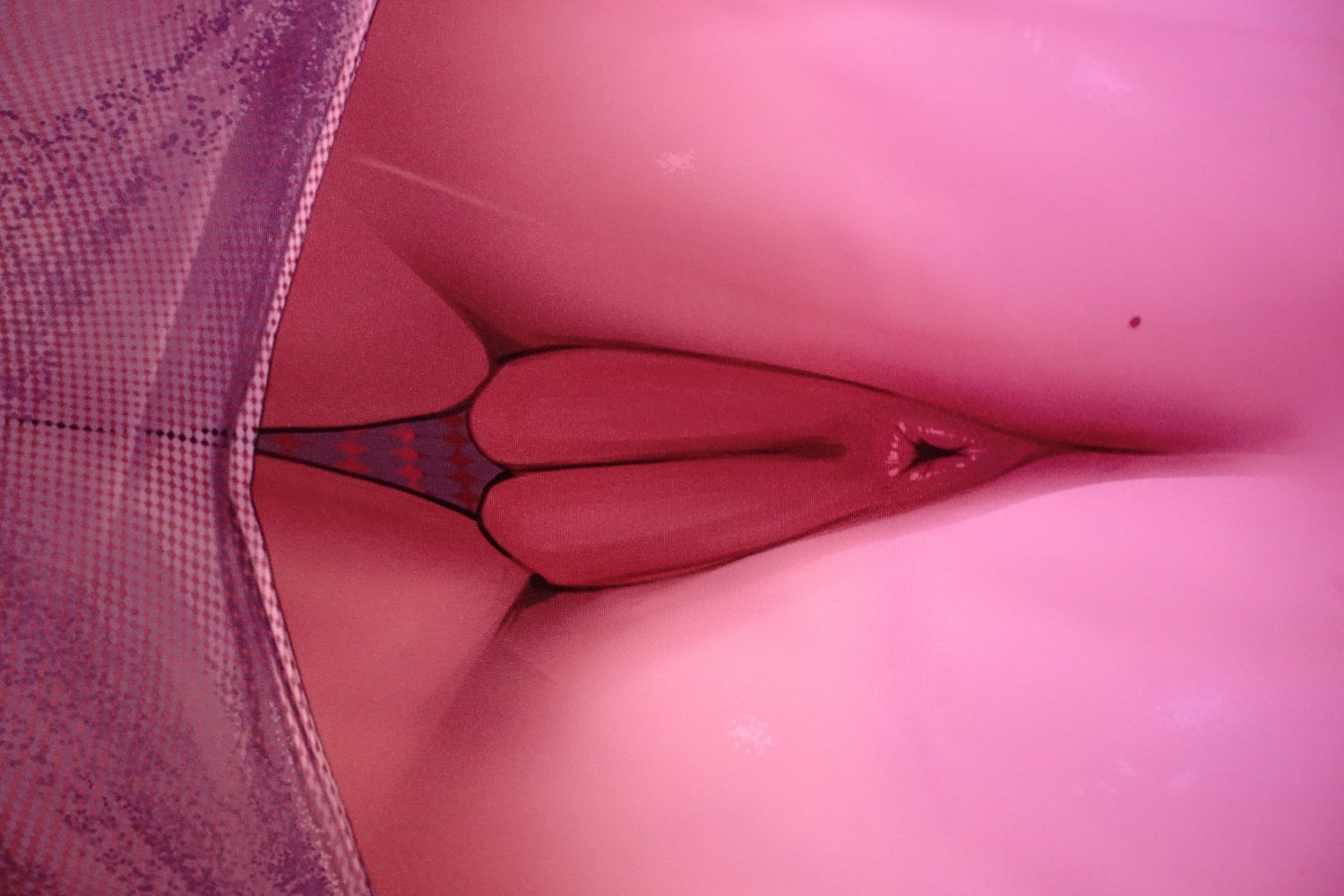 St. Louis dakimakura #2Lakr6YQ