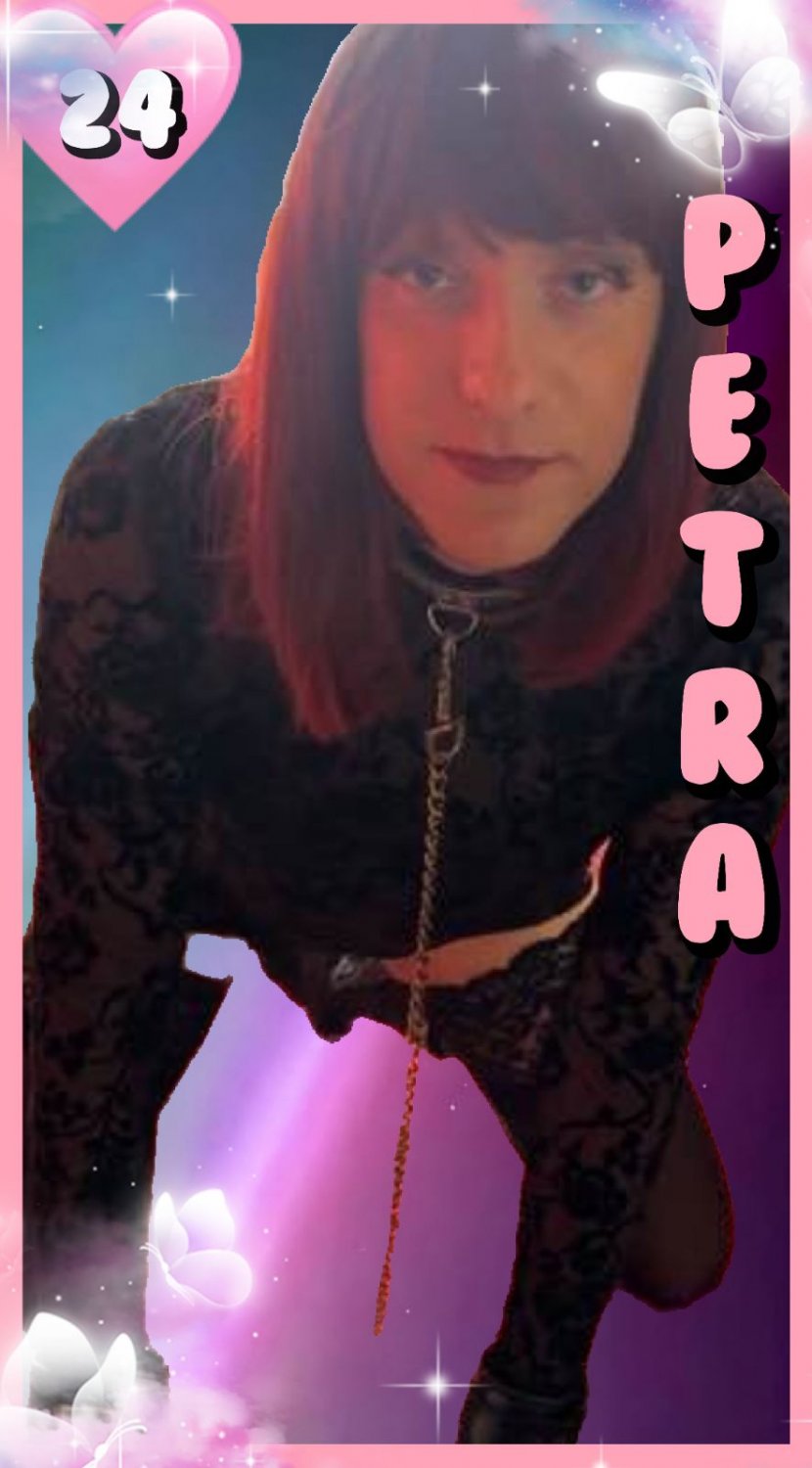 New Sissy Trading Cards / Collectors Cards. Collect them all, spread them all. #ax0mB7aO