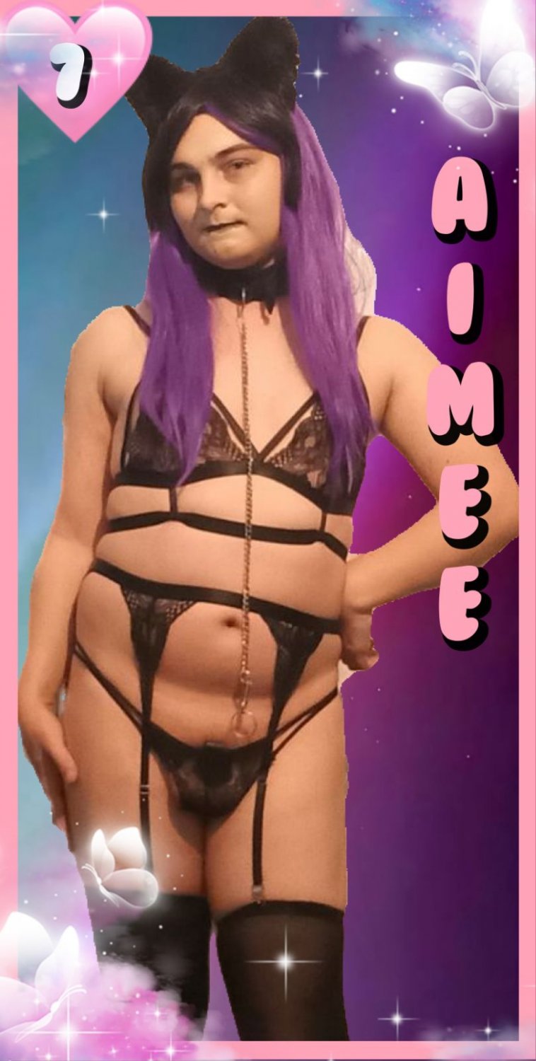 New Sissy Trading Cards / Collectors Cards. Collect them all, spread them all. #sfDSUWMP