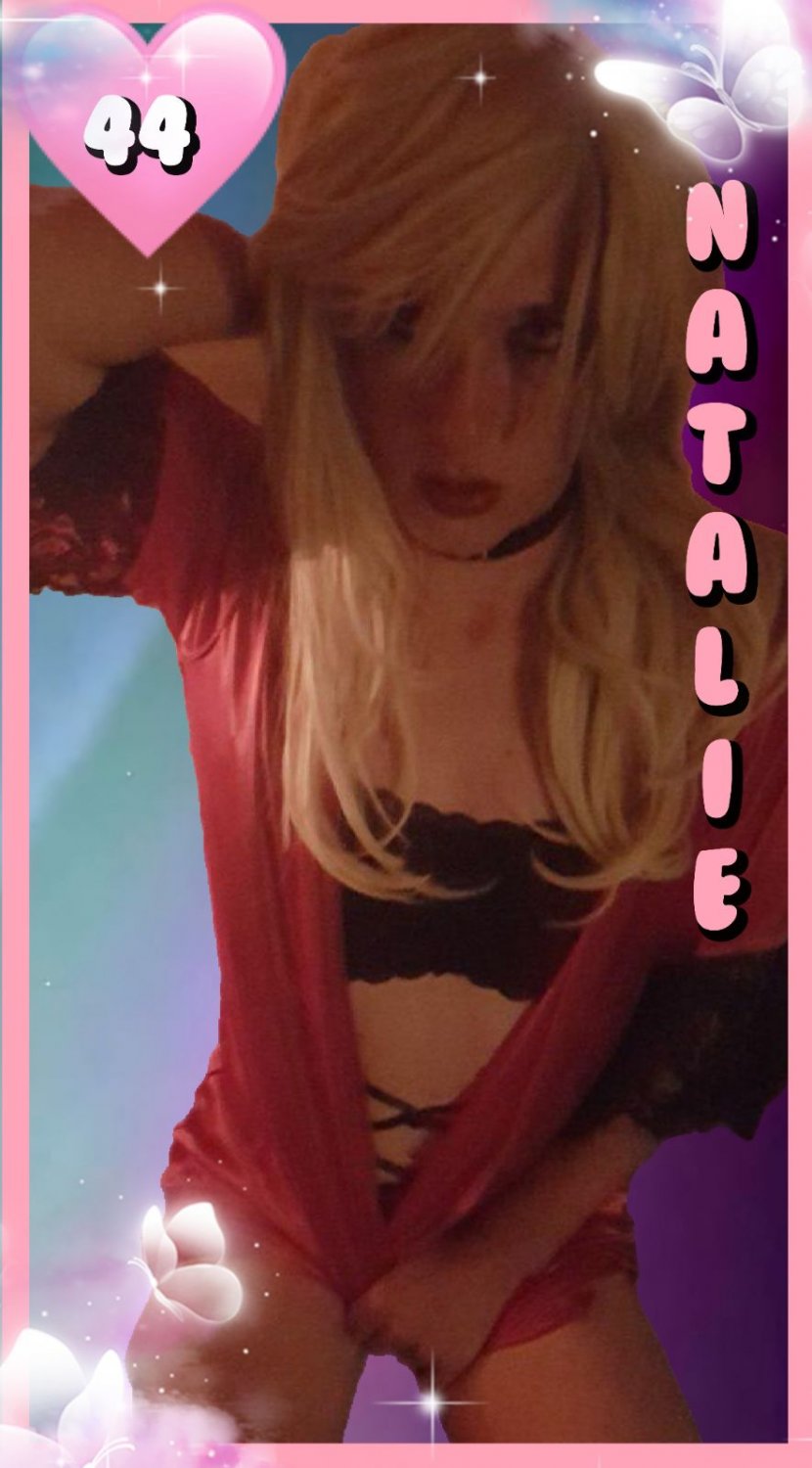 New Sissy Trading Cards / Collectors Cards. Collect them all, spread them all. #zkdYmuqq