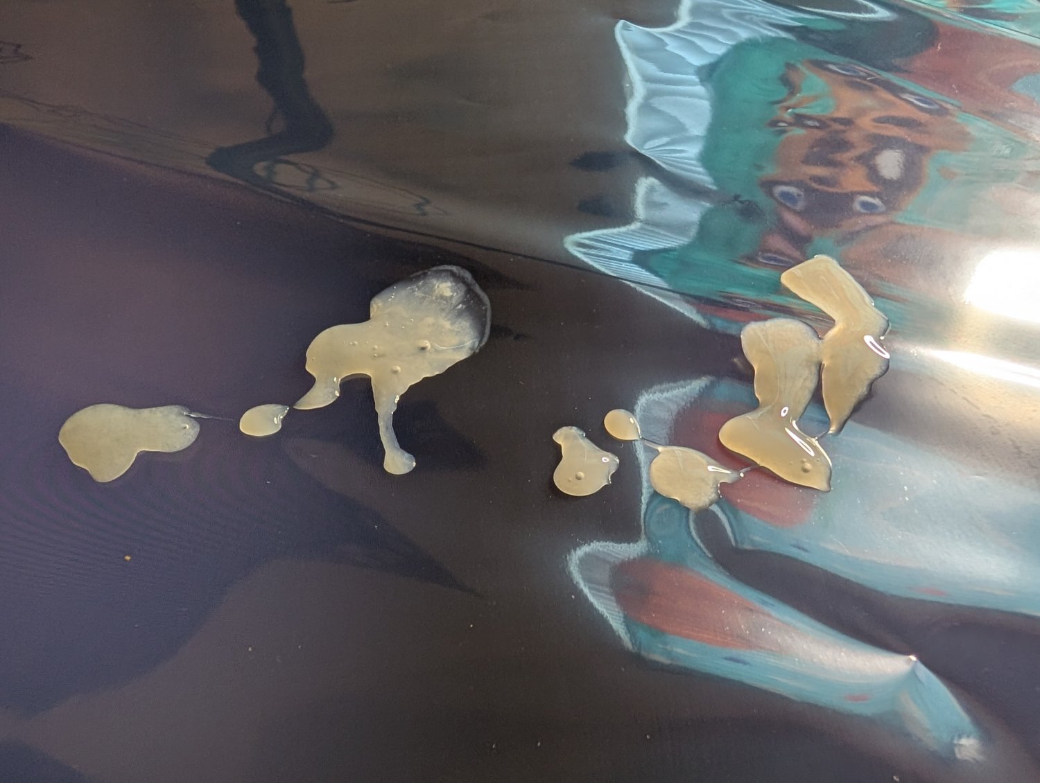 Roblox Boykisser Cum Tribute #xOt9bzCm