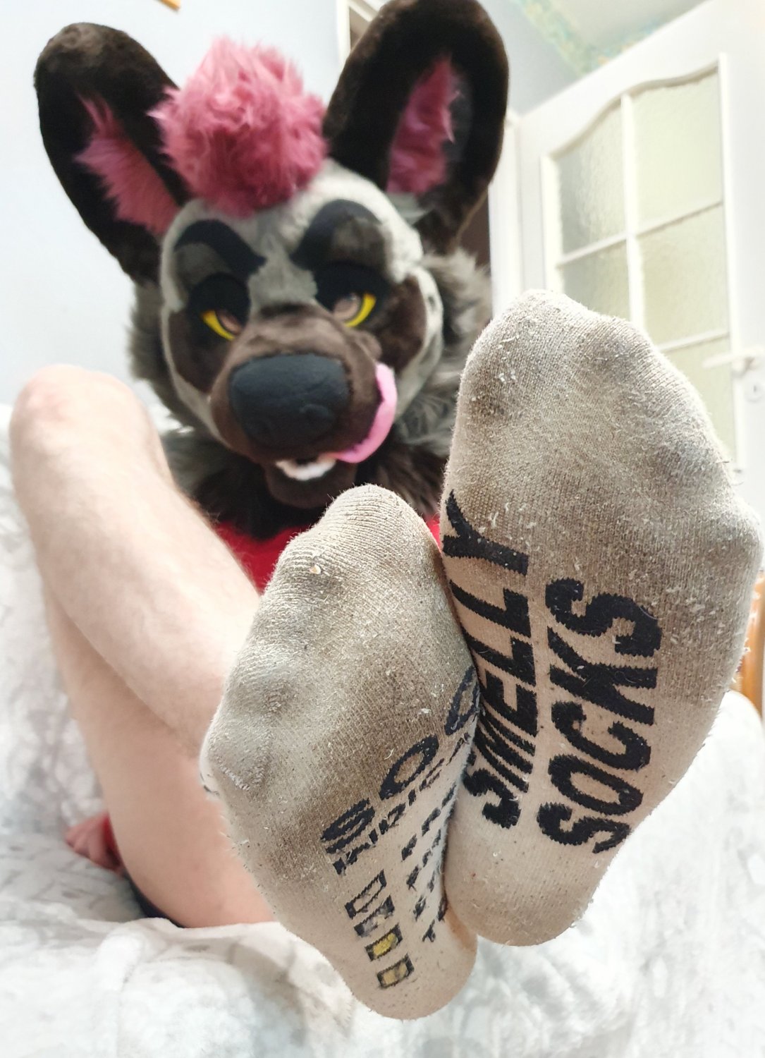 Murrsuiter feet #2 #LwFTK1s6