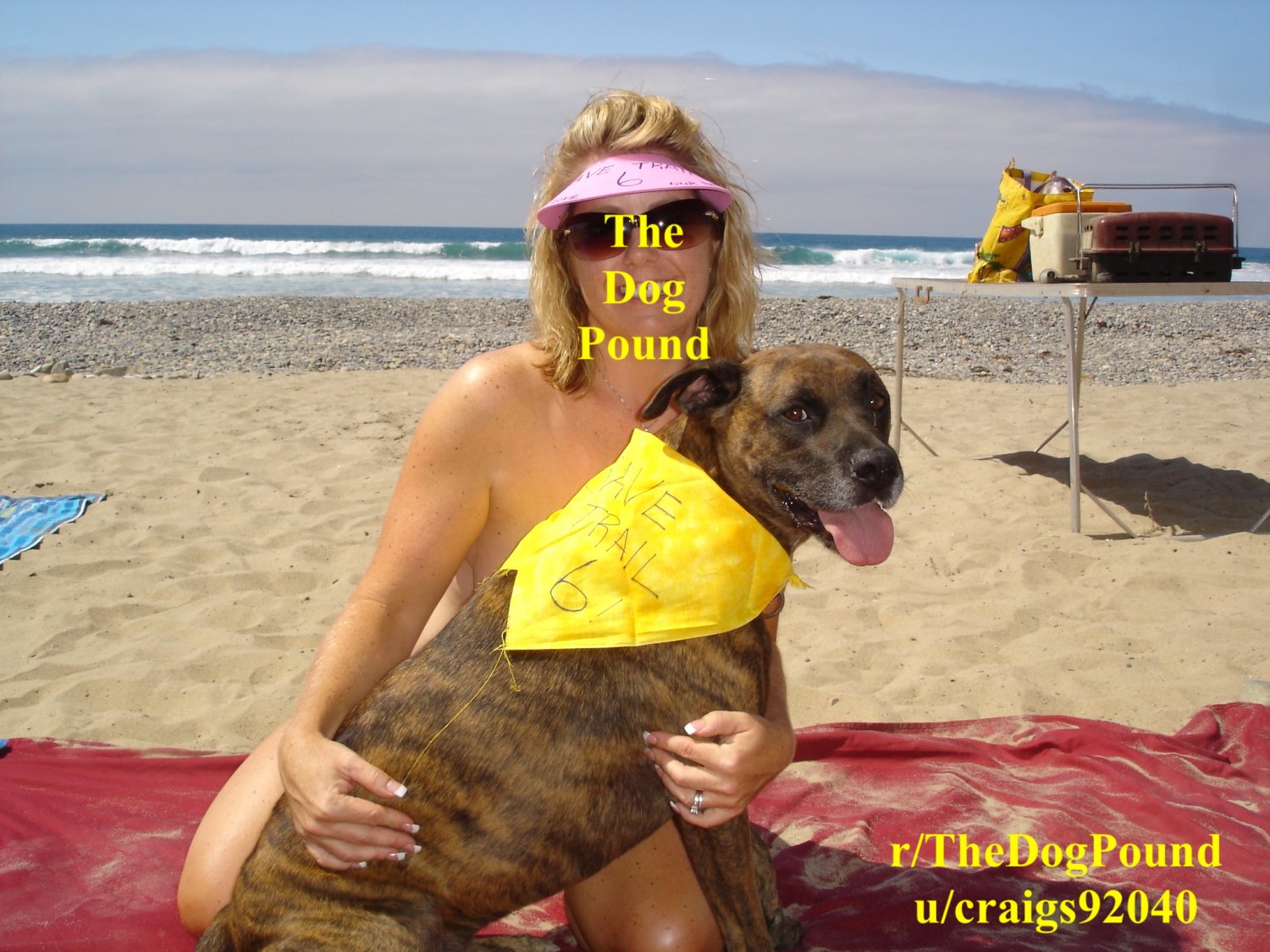 TheDogPound Reddit Group #IQnMDuTI