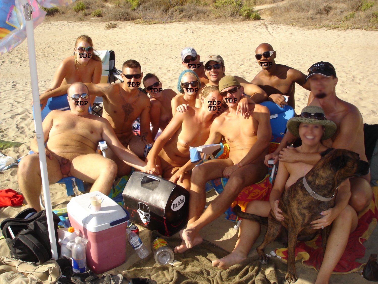 TheDogPound Reddit Group #uovEnxGF