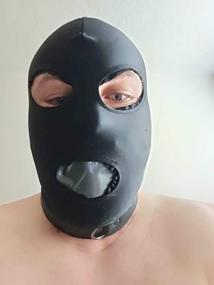 Collar Ring kik @ slaveboy2and4all #LLL47hrS