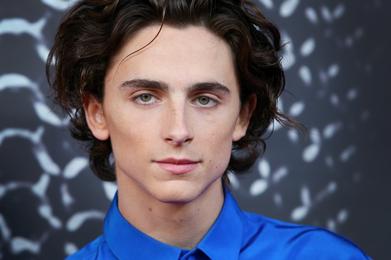 Timothée Chalamet - Cum Tribute #lumVYXwx
