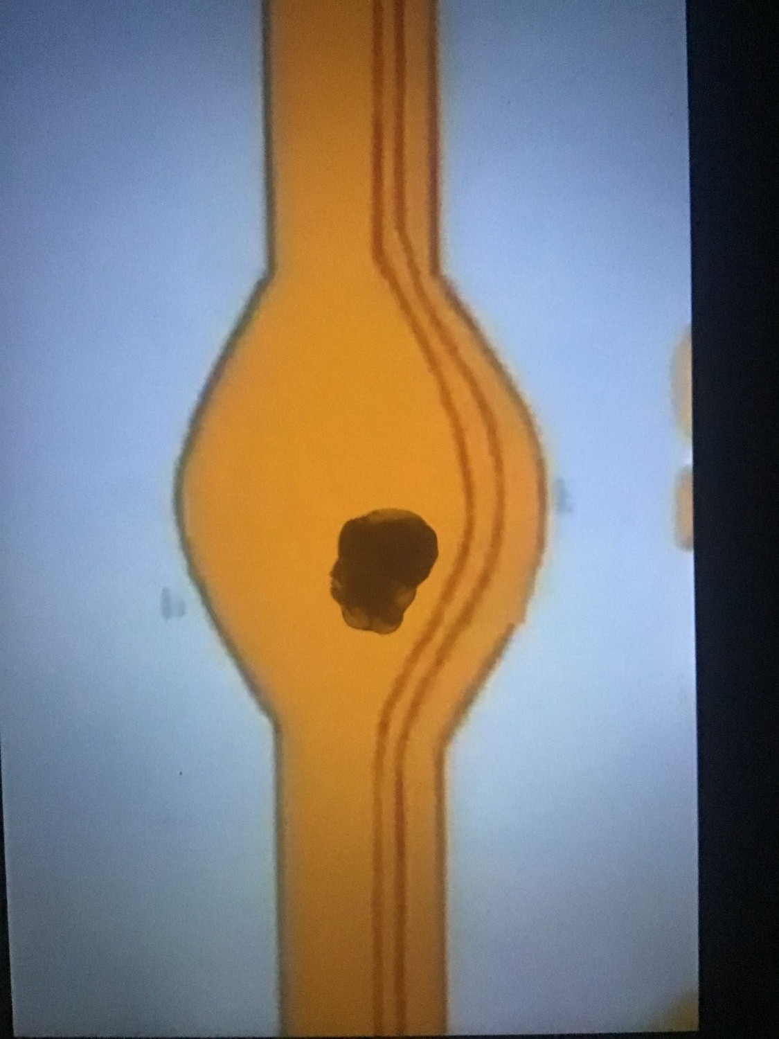 Sexy cum tribute of the Super Slurp Pipe bulge (With waifus) #Rfj5yiby