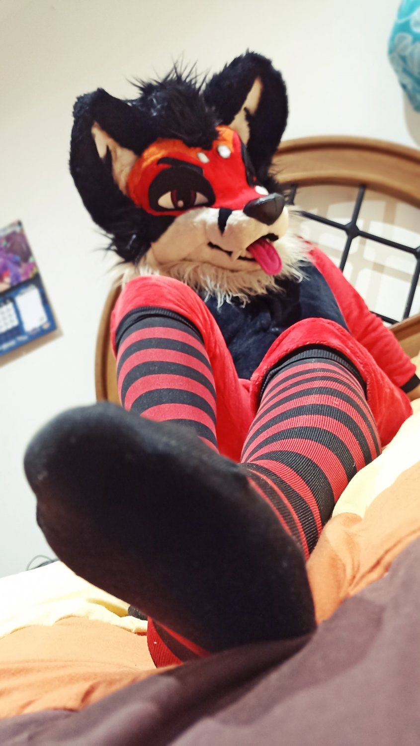 Murrsuiter Feet #24 #KKZU3rdi