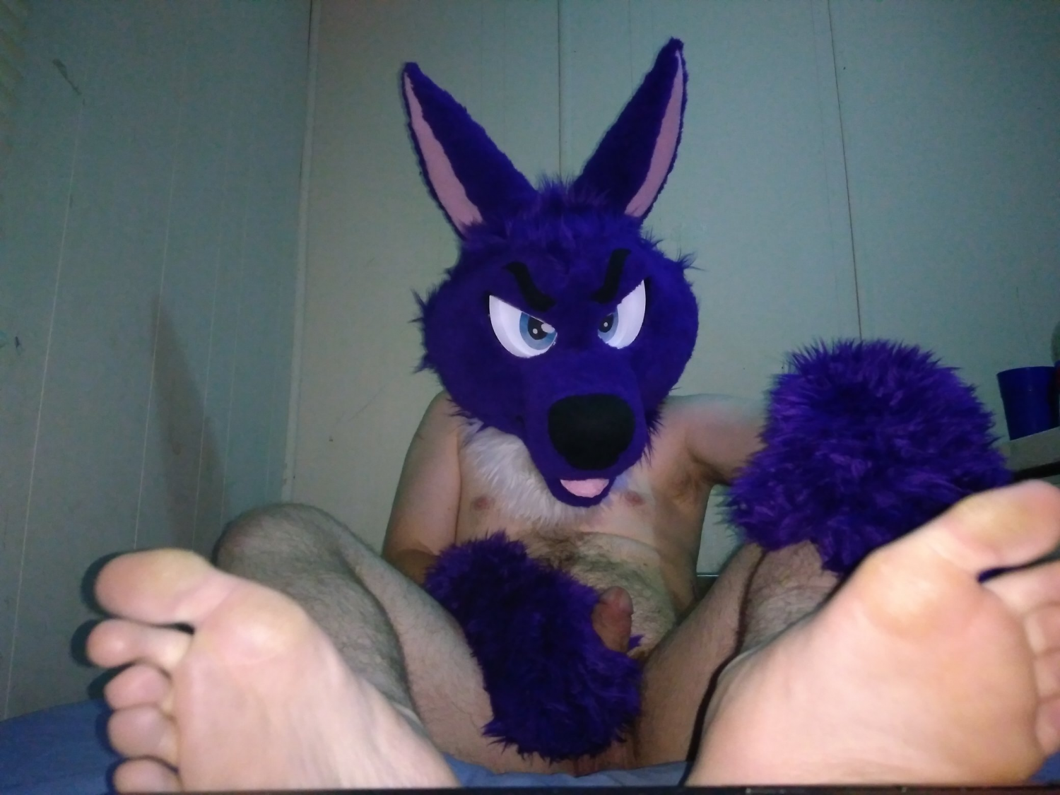 Murrsuiter Feet #24 #gEQ7c6Ib