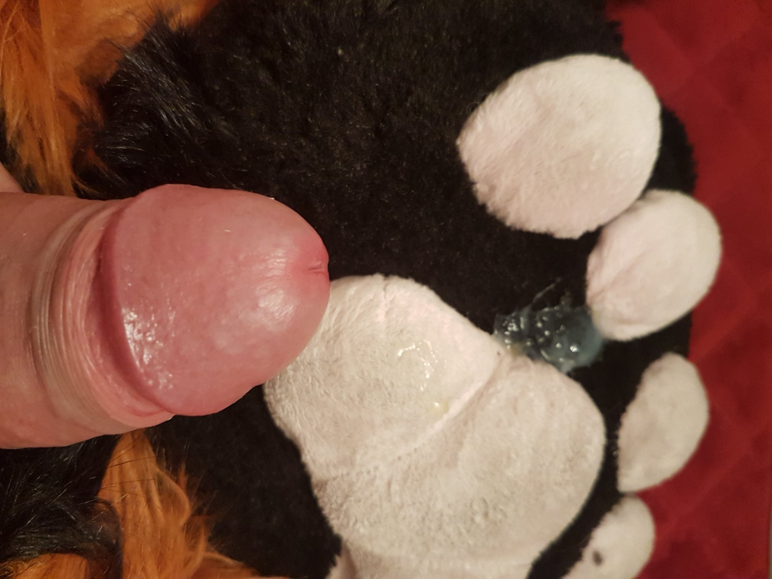 Murrsuiter Feet #24 #yNgQDLmZ
