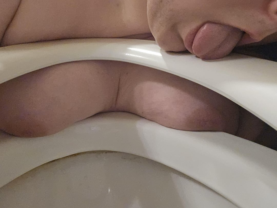 Help this Reddit Toilet pig go famous save and repost Her #chhKDCe9