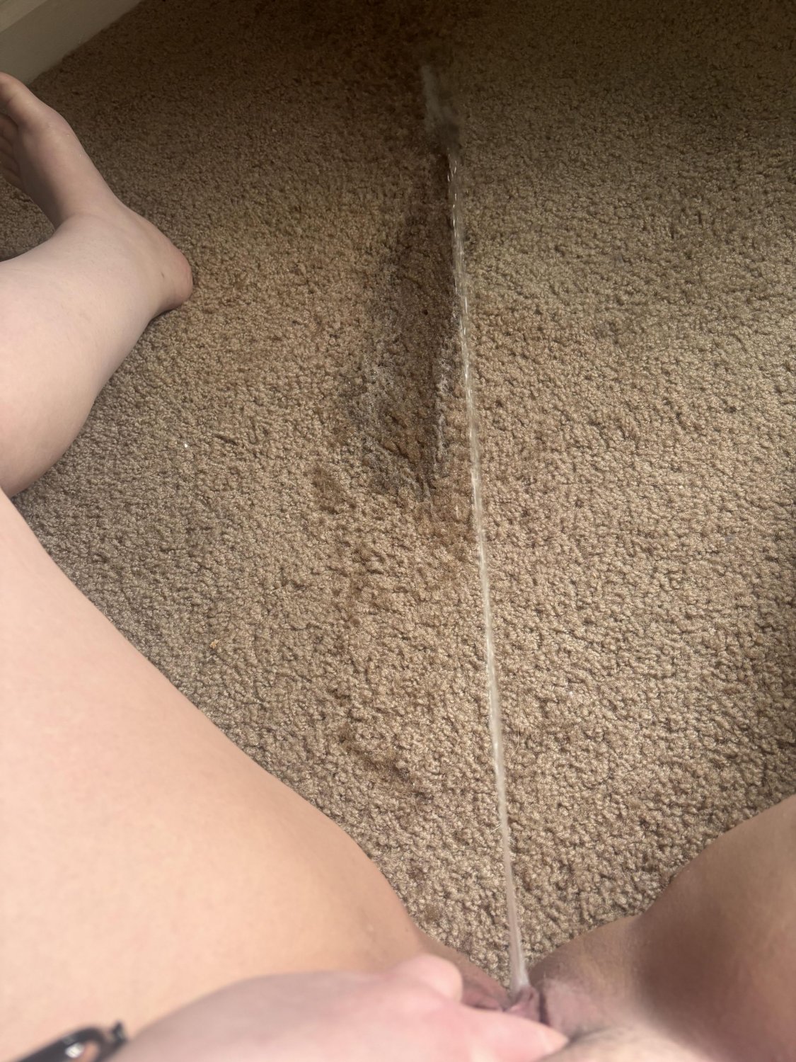 Carpet pissing 8 #4knQUXPg